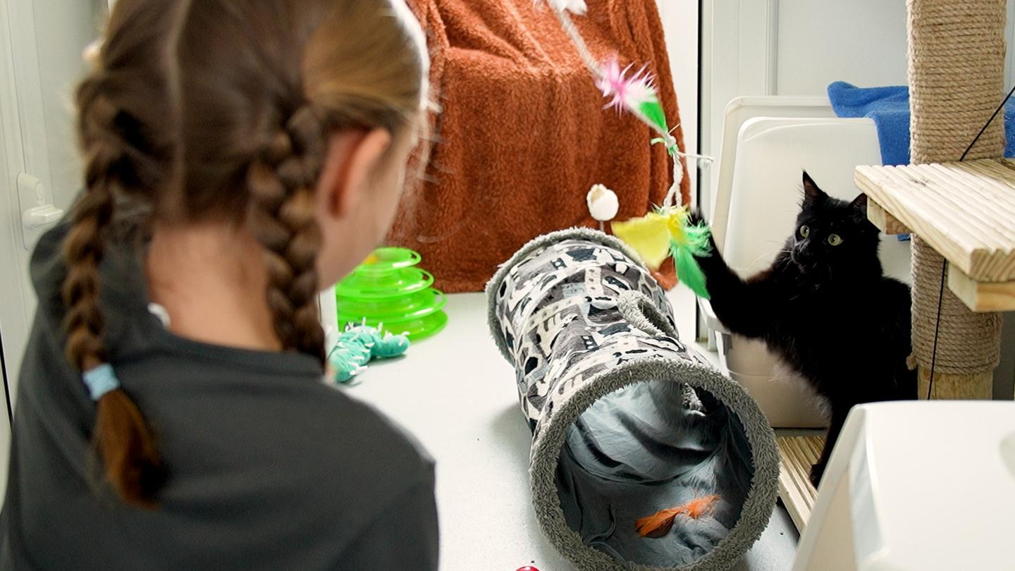 Wellbeing, Pets and Me