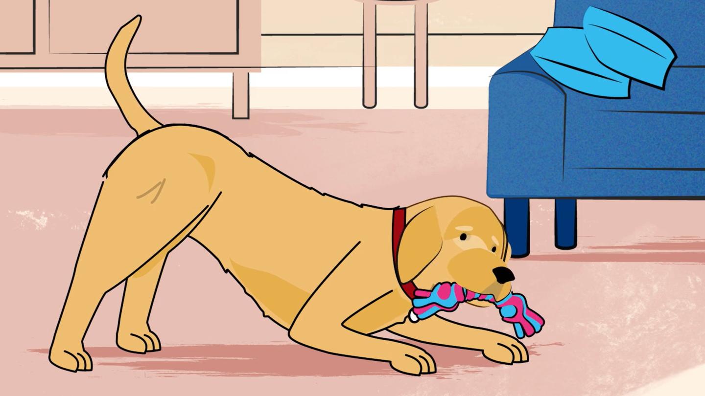 Being Safe Around Dogs Animation