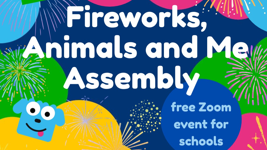 Fireworks, Animals And Me